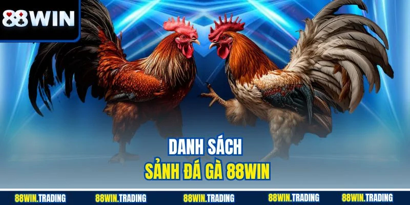 Danh sách sảnh đá gà 88WIN