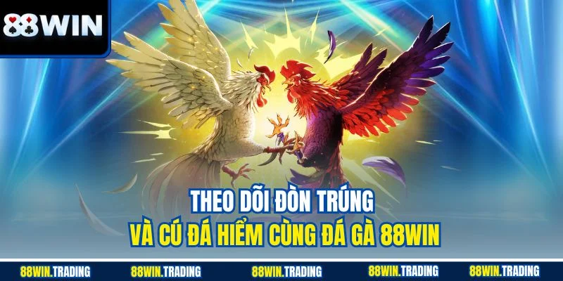 Theo dõi đòn trúng và cú đá hiểm cùng đá gà 88WIN